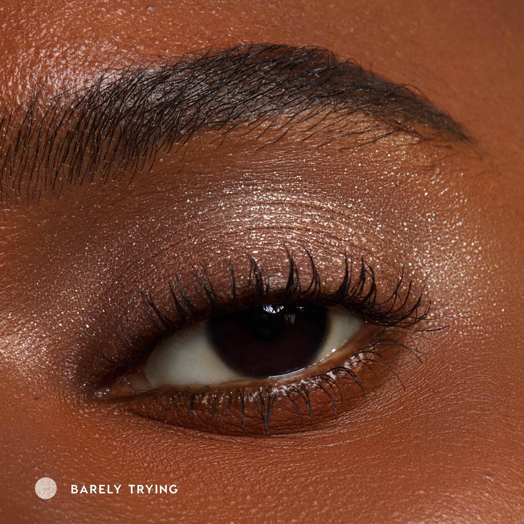 Barely Trying - Ready Look